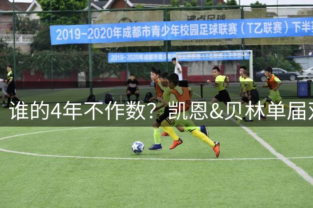 谁的4年不作数？凯恩&贝林单届双6球1助 冠军梦却止步